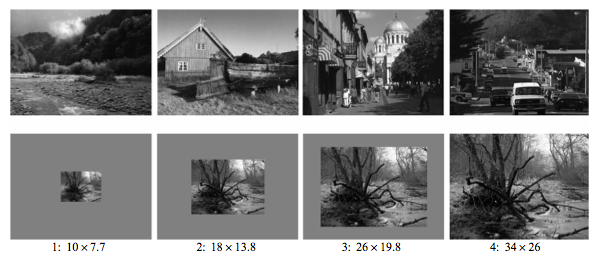 Abb. 2: Obere Zeile: Beispiele der Stimulusbilder. Untere Zeile: Beispielbild in             den vier Grössen (Angaben in Grad). Die Bilder wurden im Experiment in Farbe präsentiert.