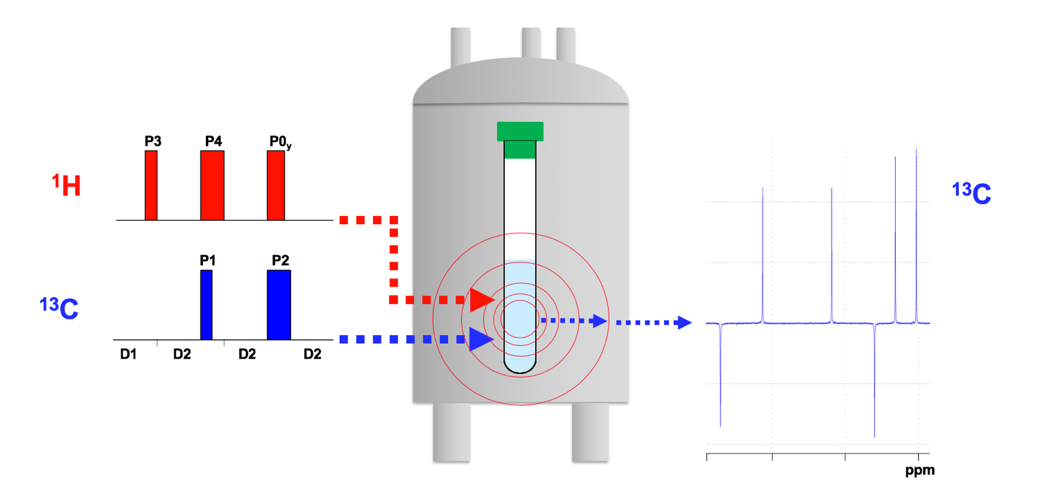 NMR-Tutorial The effect of pulse sequences on nuclear spin system