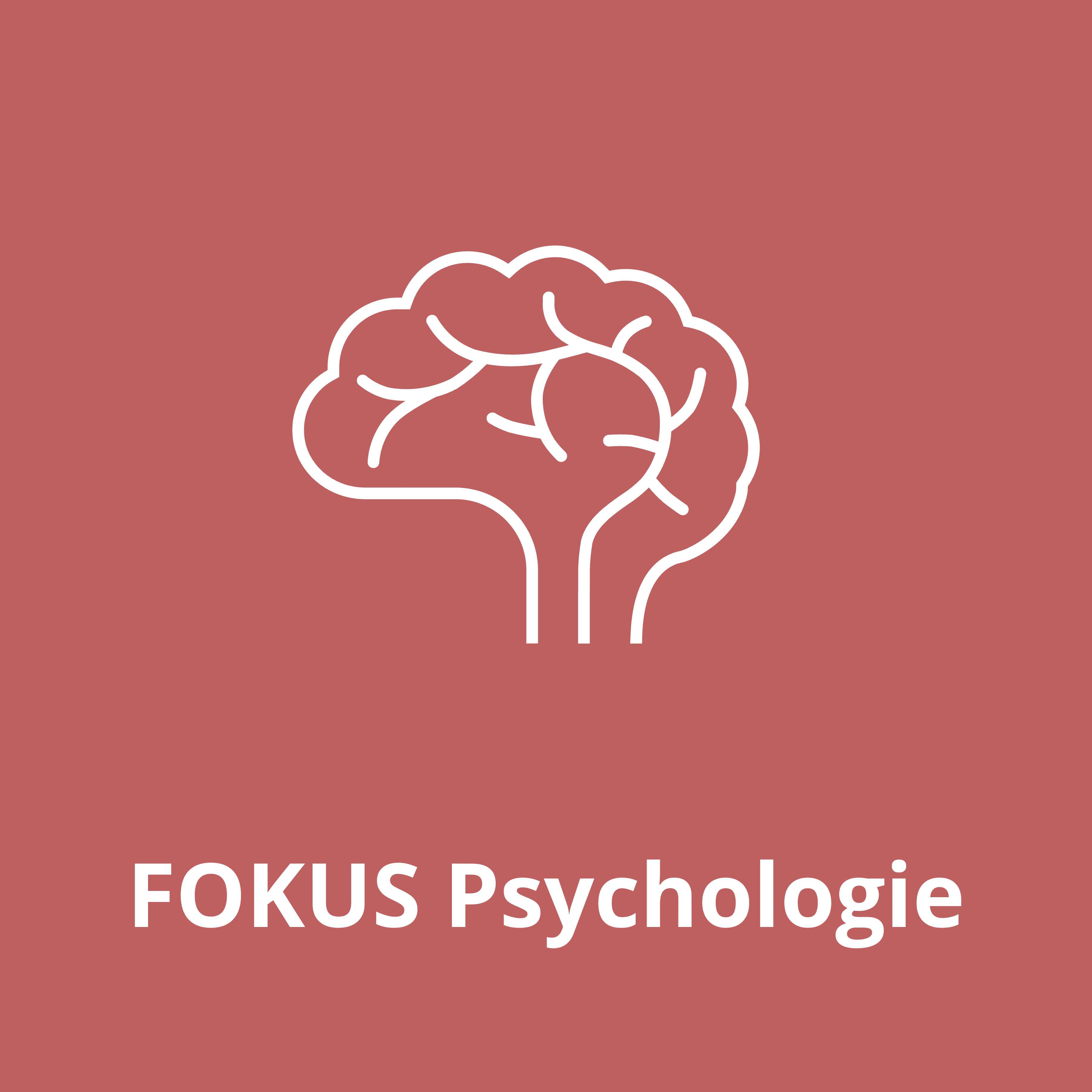 Öffnen FOKUS Psychologie