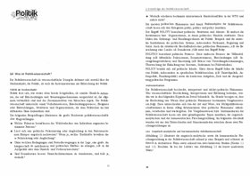 Preview 1 of Sitzung 4 Bernauer et al. (2013).pdf