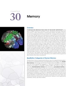 Vorschau 1 von 03_Chapter 30 Memory - Purves et al. (eds.) - Neuroscience-Sinauer Associates (2018).pdf
