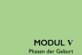 Öffnen Modul V: Phasen der Geburt