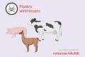 Öffnen Animaux de rente -  Plantes vénéneuses