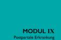 Öffnen Modul IX: Postpartale Erkrankung