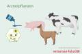 Öffnen Nutztiere - Medizinalpflanzen