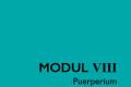 Öffnen Modul VIII: Puerperium