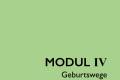 Öffnen Modul IV: Geburtswege